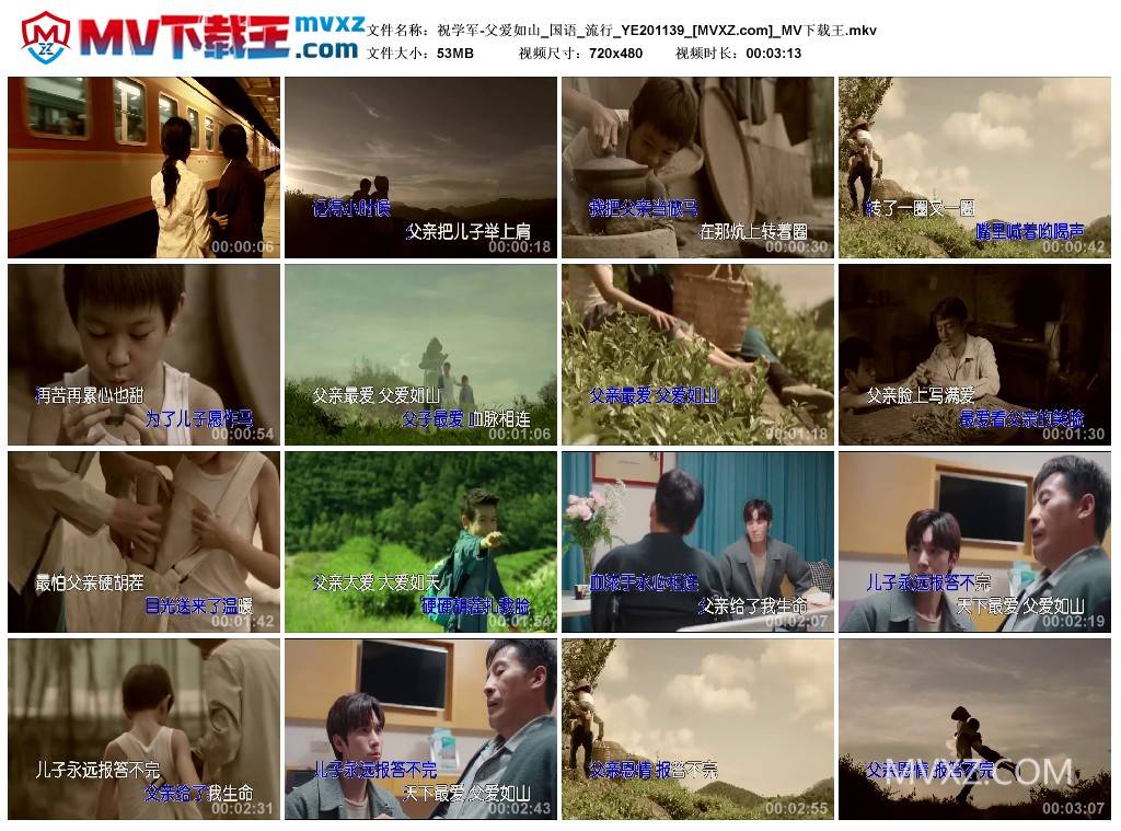 祝学军-父爱如山_国语_流行_YE201139